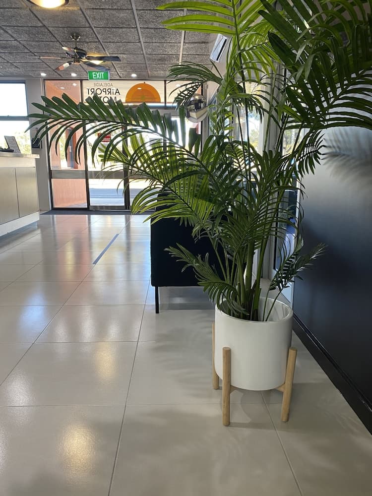 Resepsiyon