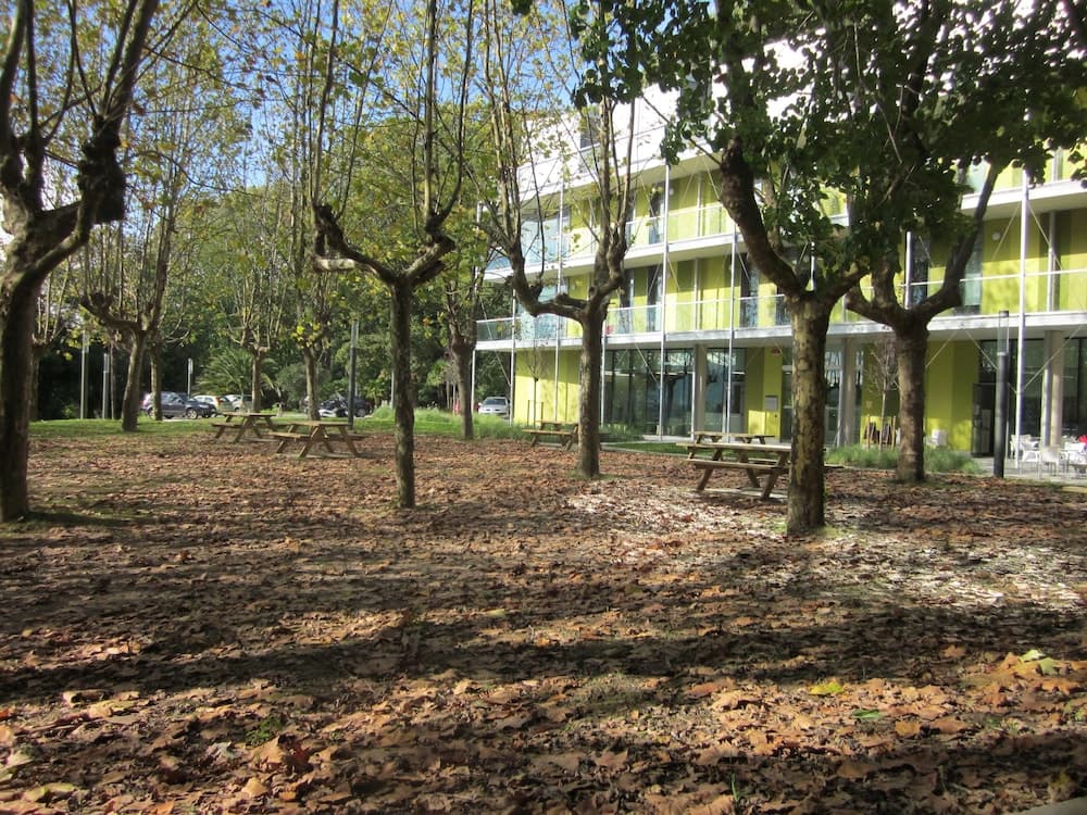 Uba Hostel