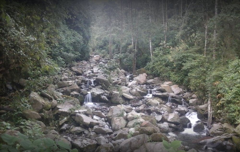 Ekoloji turları