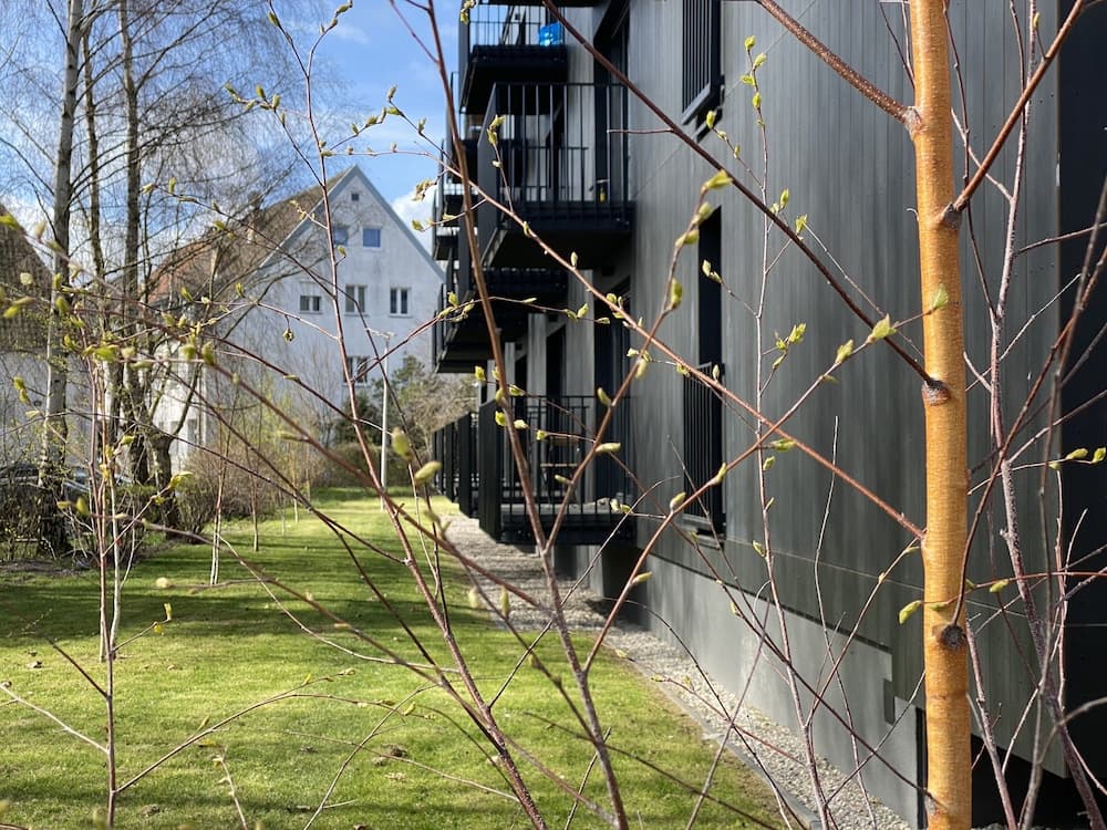 Barbekü/piknik alanı