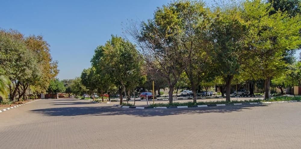 Spor sahası