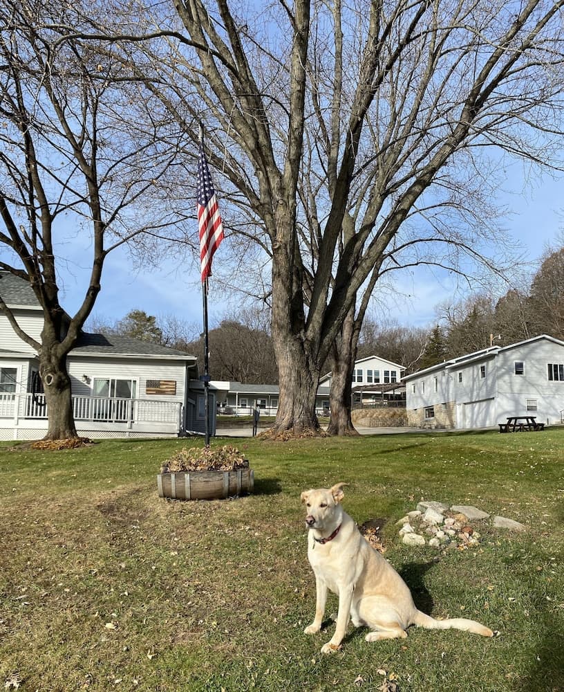 Little Bluff Inn
