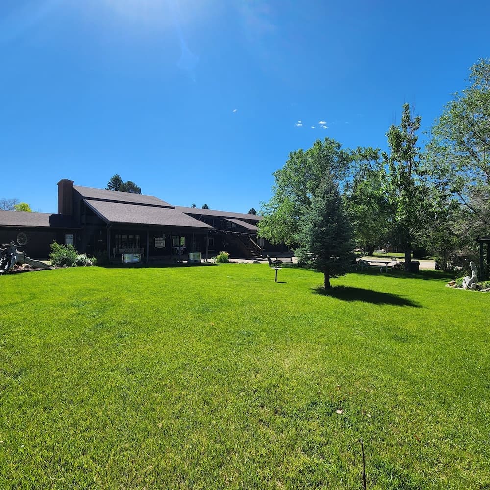 The Carter inn