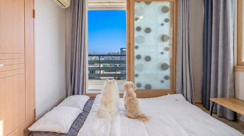 Gangneung Basecamp Pension