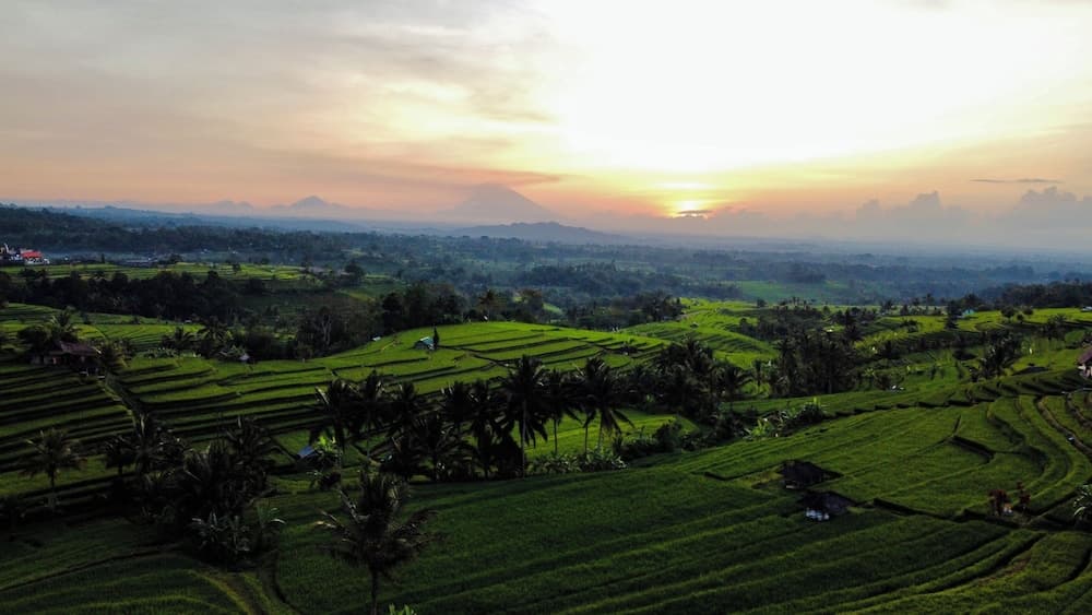Bhuana Agung Villa & Restaurant