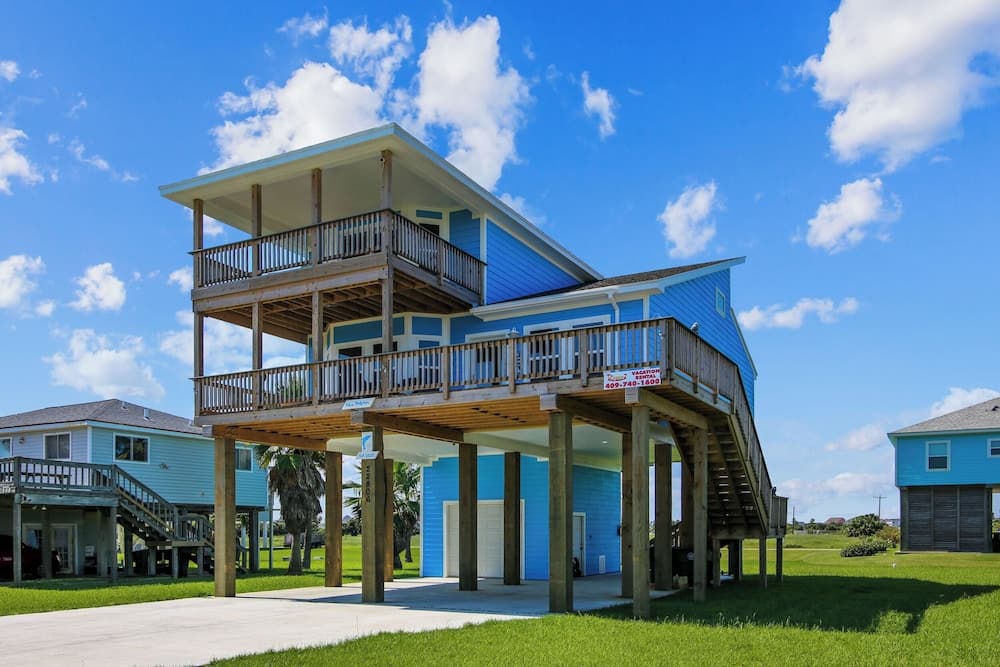 4514bludolphtrnh - Blue Dolphin