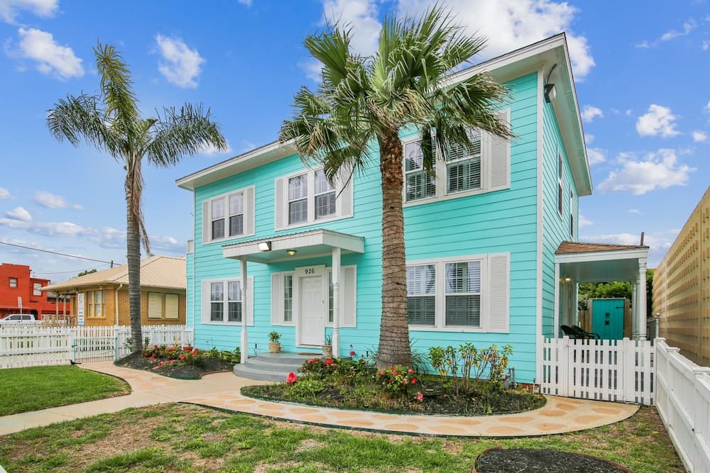 The Turquoise Turtle