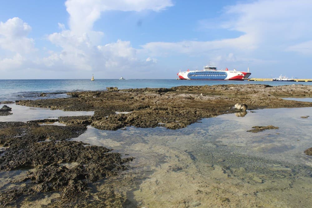 Great Condo in Cozumel OCEAN FRONT D10