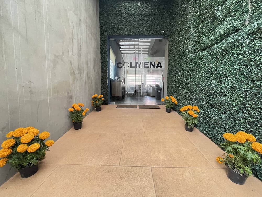Colmena