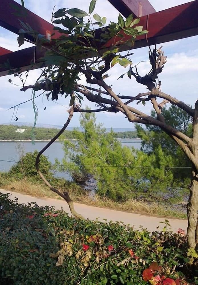 Niko - With Pool - A1