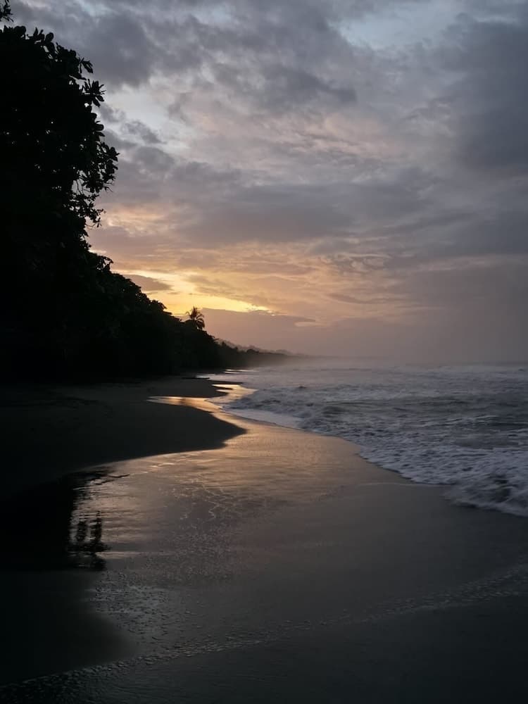 Perla Negra Beachfront