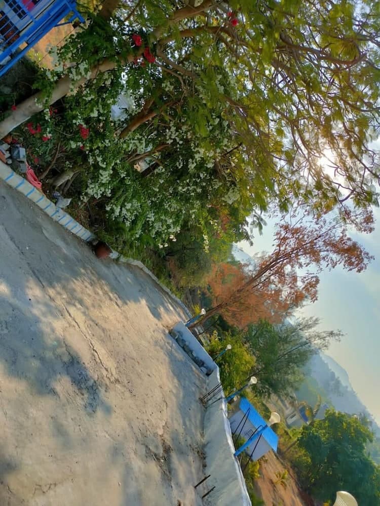 Konaklama yerinden manzara