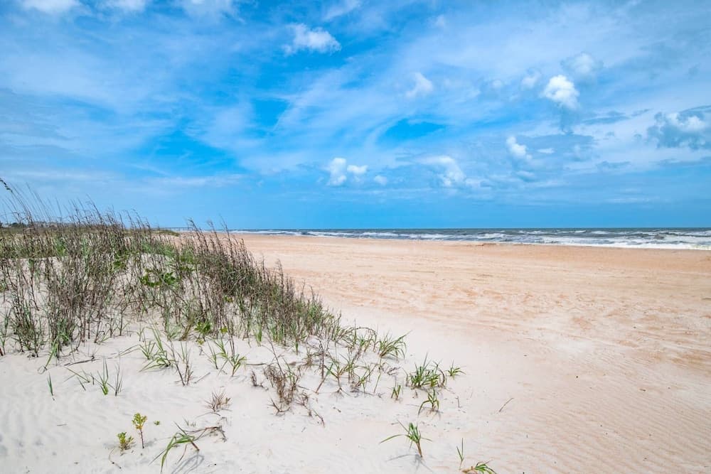 Endless Summer on B Street