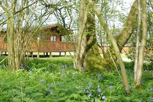 South Winchester Lodges