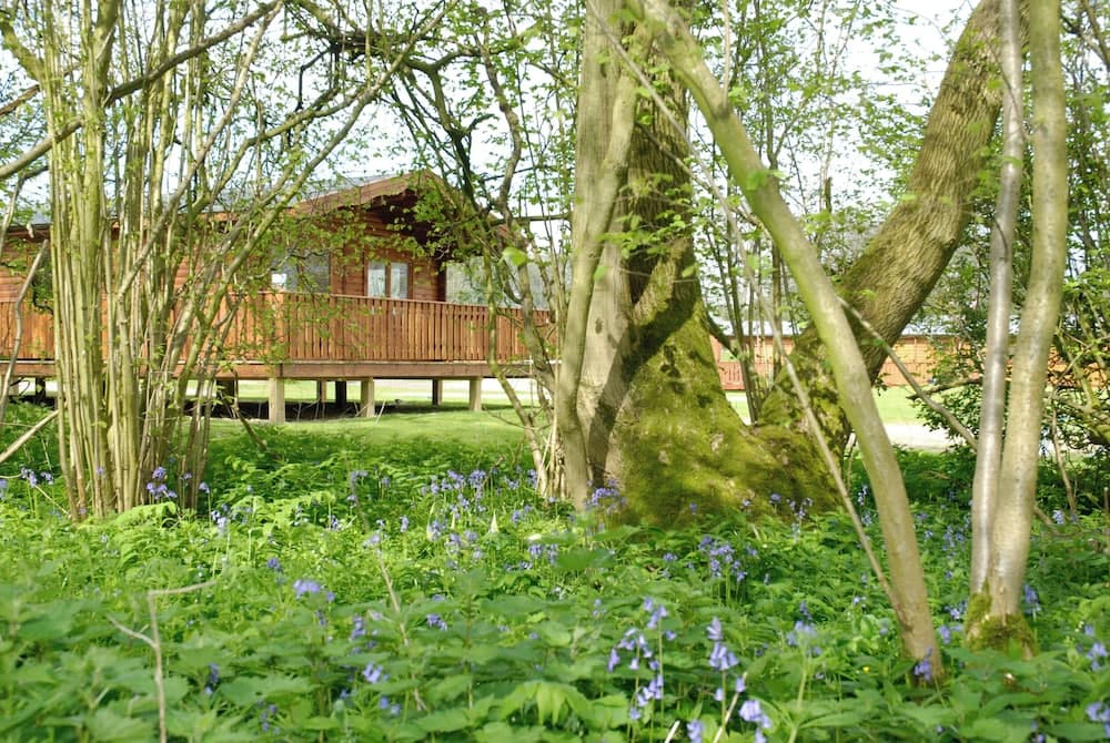 South Winchester Lodges