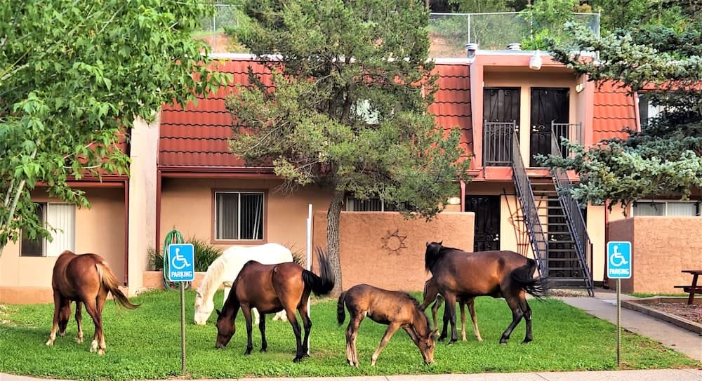 Pinecliff Village