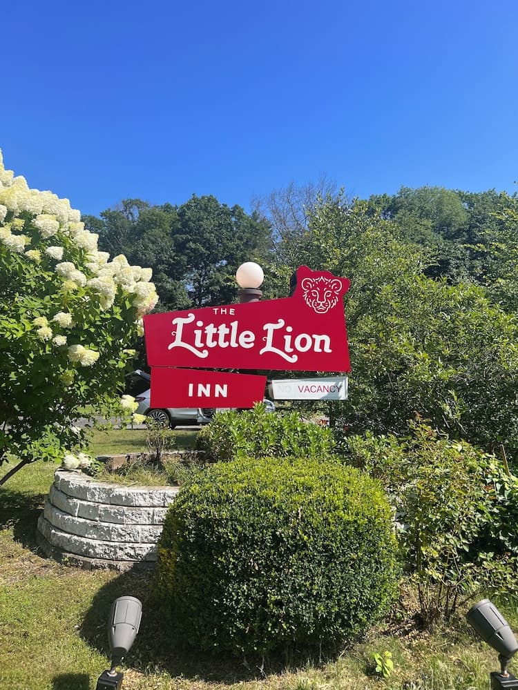 The Little Lion