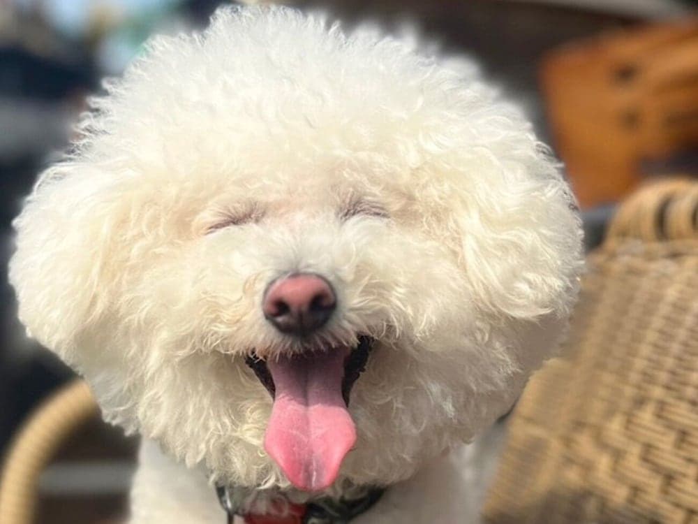 BAN HOTEL TSUKIJI GINZA