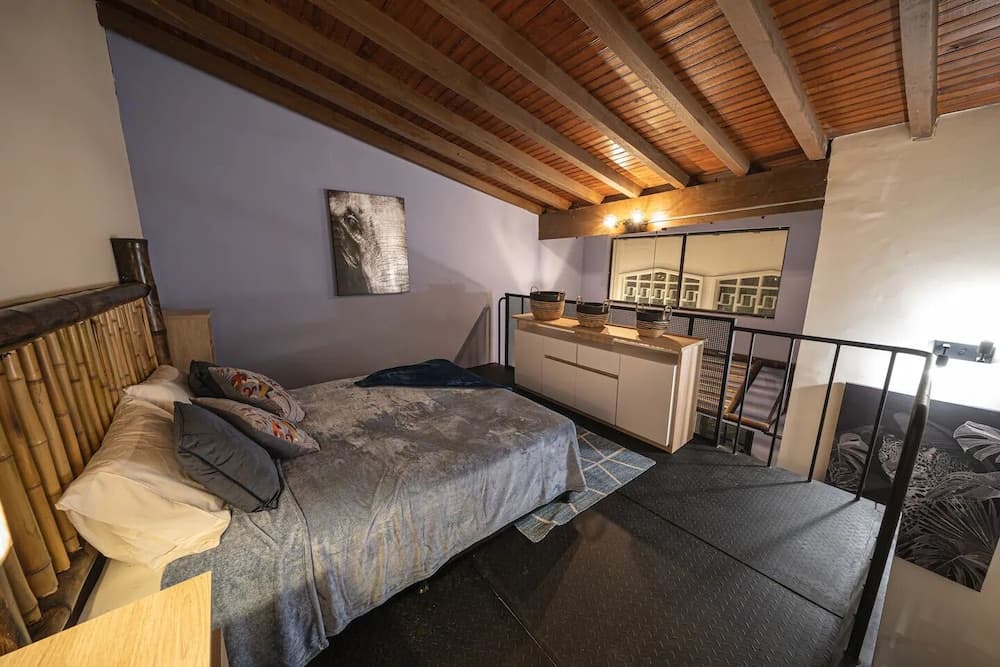 HOLT - Astorga Gardens - The African