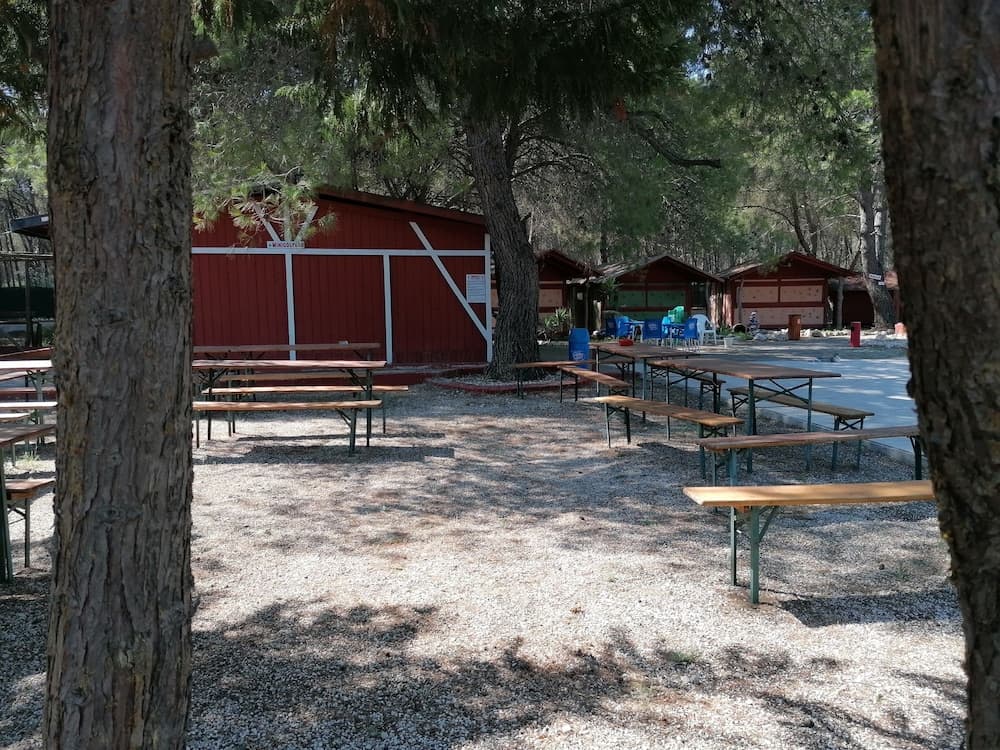 Barbekü/piknik alanı