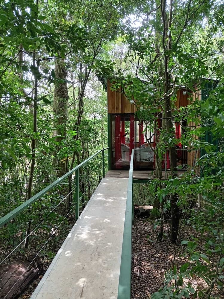 The Green Tree Lodge