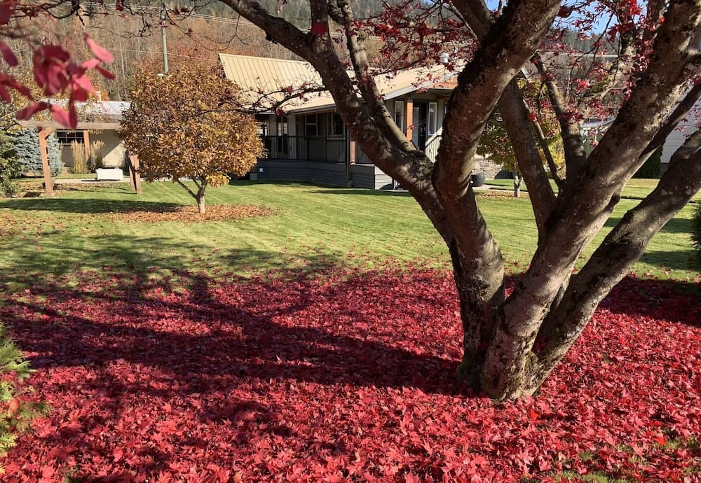 Konaklama yerinin ön cephesi