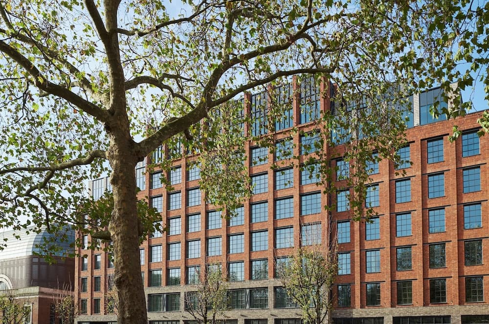 The Hoxton Shepherds Bush