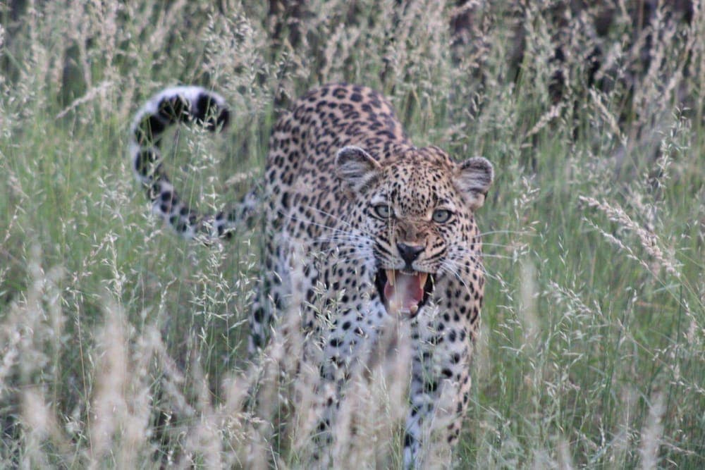 Konaklama yeri imkân ve özellikleri