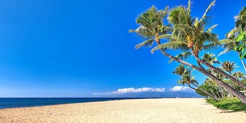 Kaanapali Shores Resort by KBM