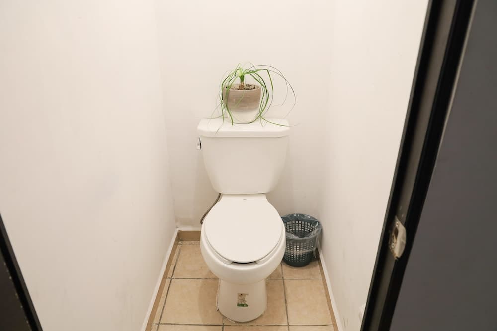 ANTIQUE Guest House Fundidora