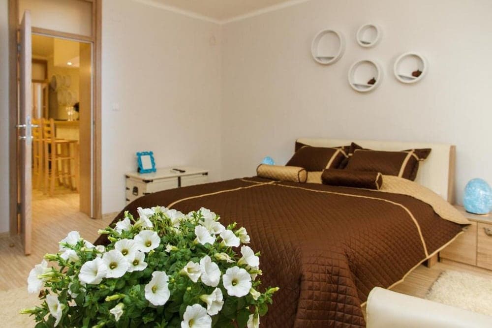 Central Apartments HOT TUBE