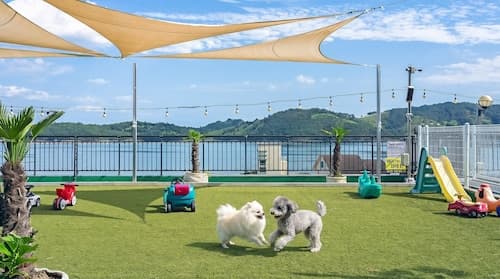 Namhae Spring, Summer, Fall, Winter Pet-