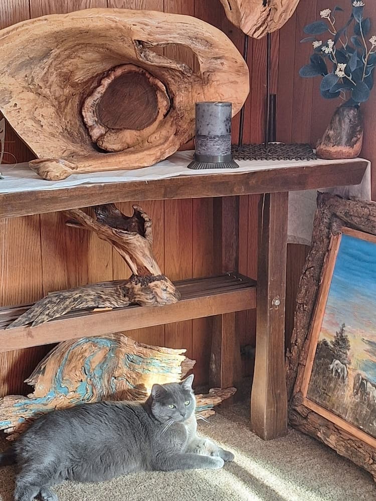Comanche inn