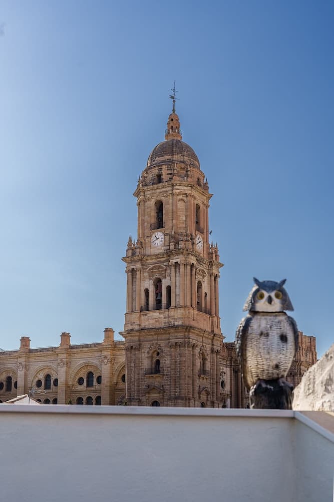 Apartamentos Gibralfaro