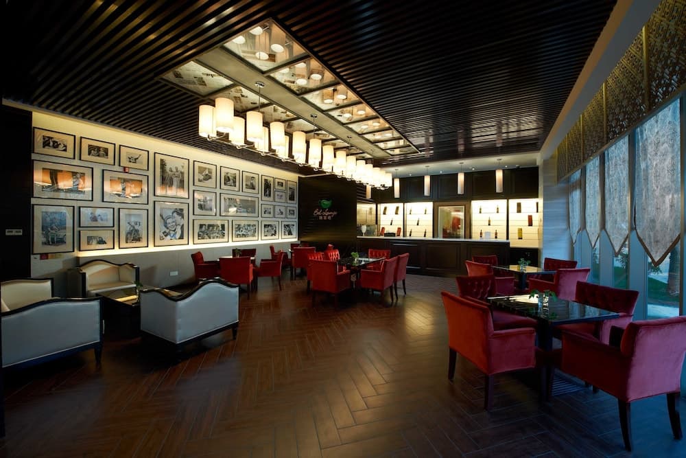 Bar (konaklama yerinde)