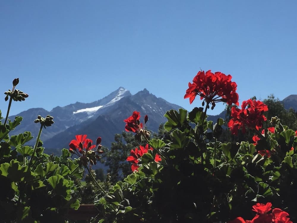 Konaklama yeri alanı