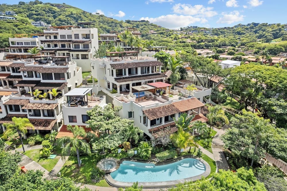 Tropical Gardens