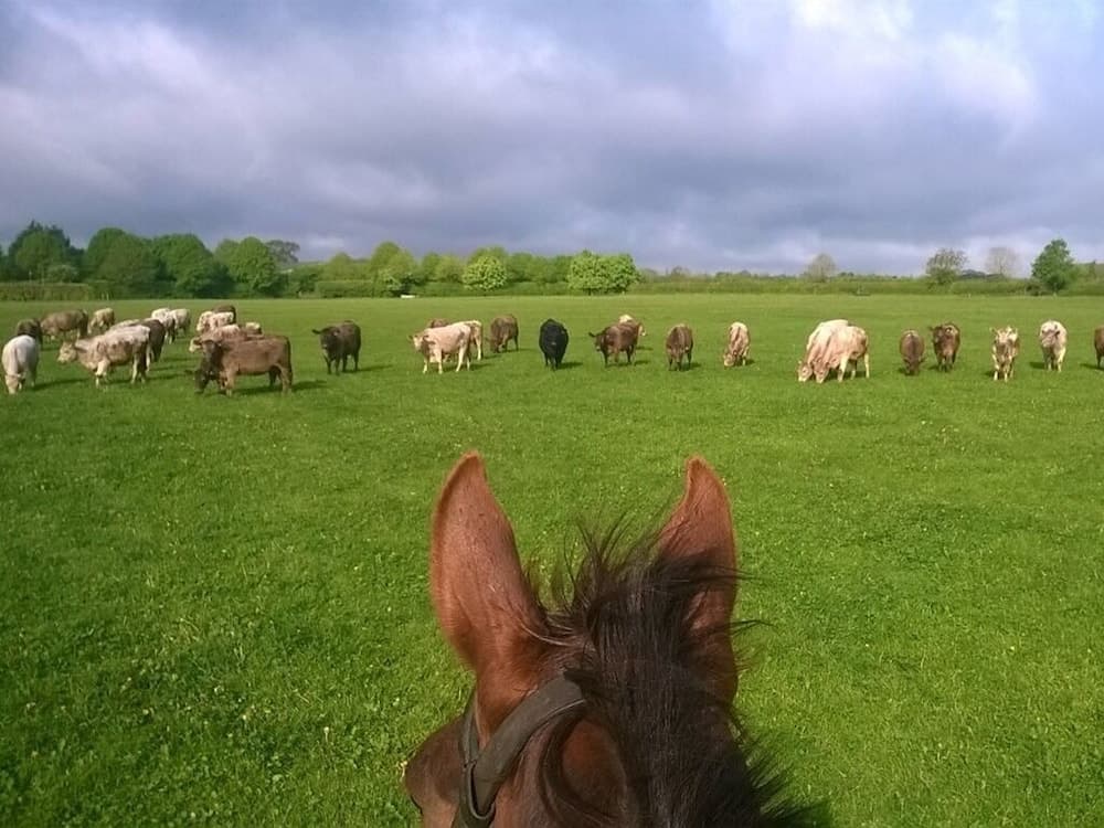 Konaklama yerinden manzara