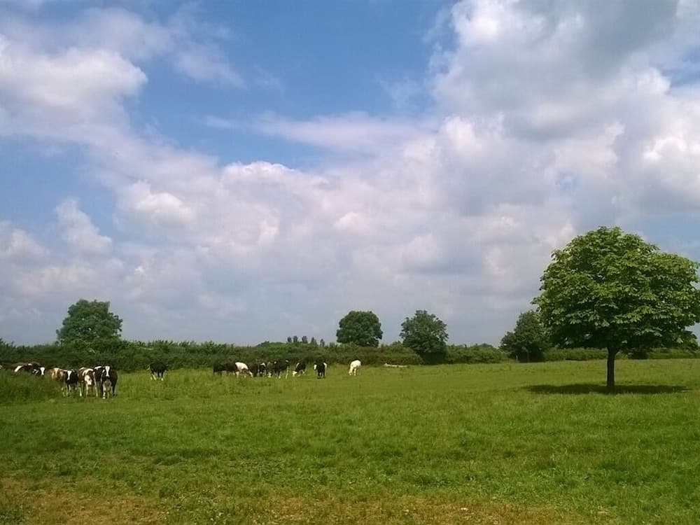 Konaklama yerinden manzara