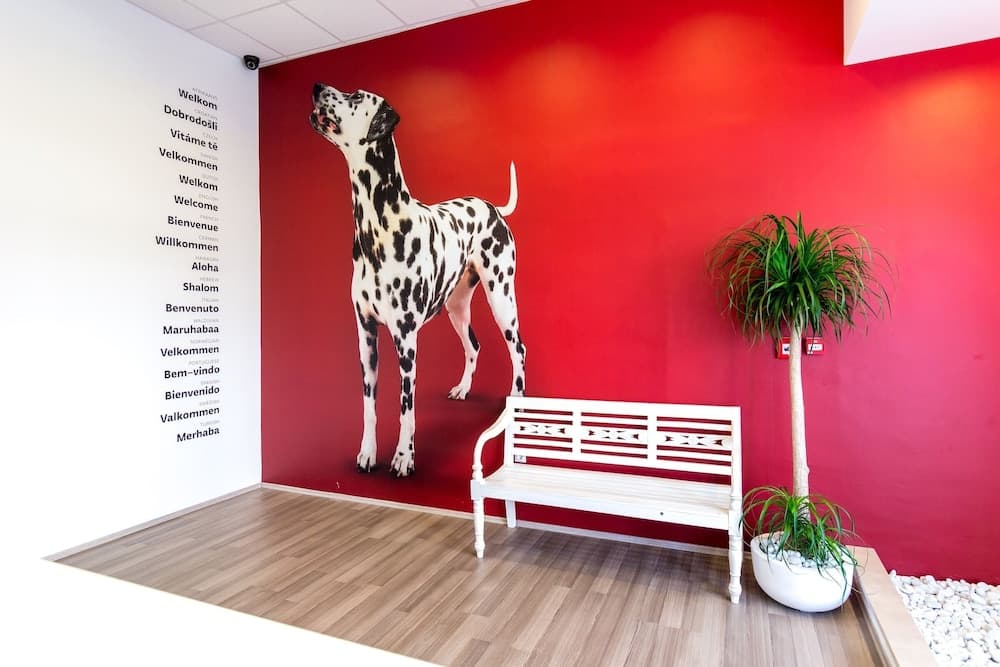 Design Hostel 101Dalmatinac