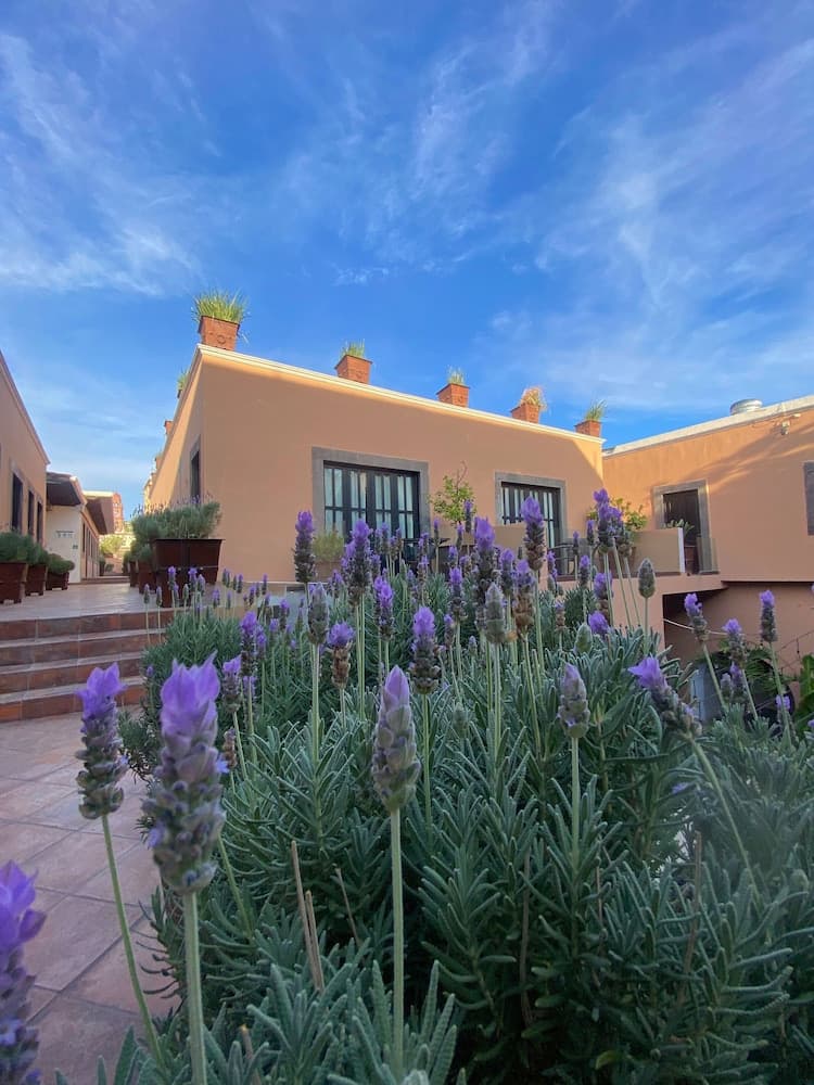Hotel Boutique Hacienda Guadalupe