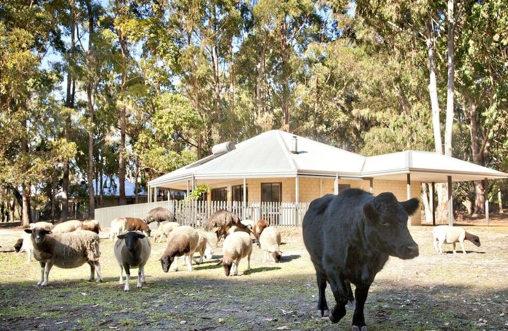 Margaret River Hideaway