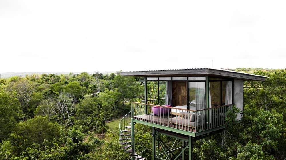 The Canopy
