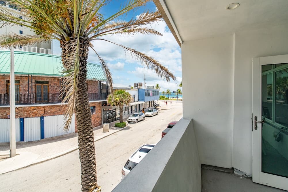 Purple Pelican by Opus (Suite 1)