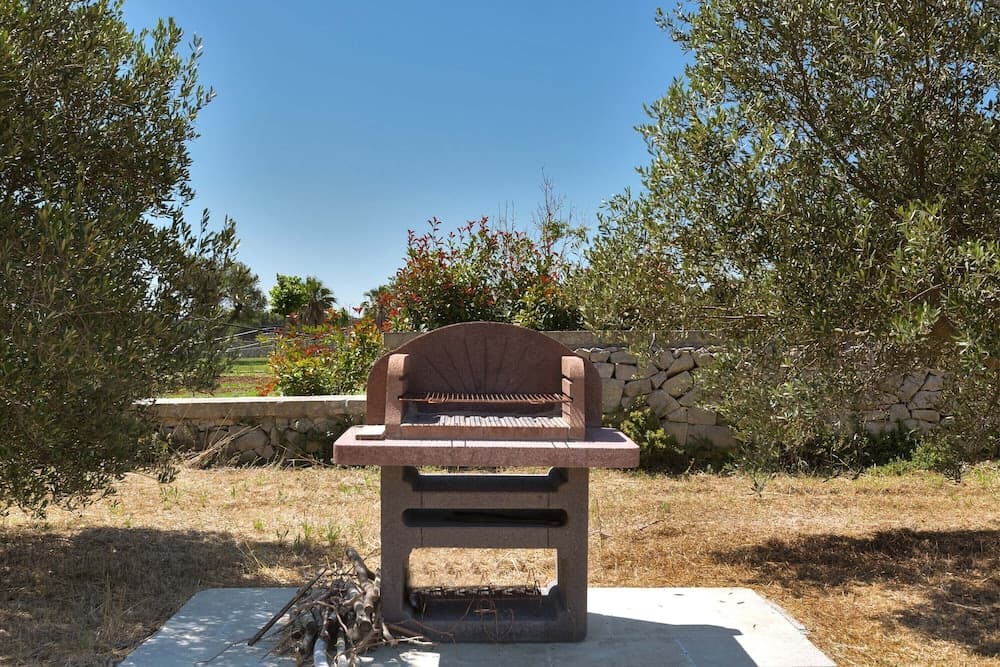 Barbekü/piknik alanı