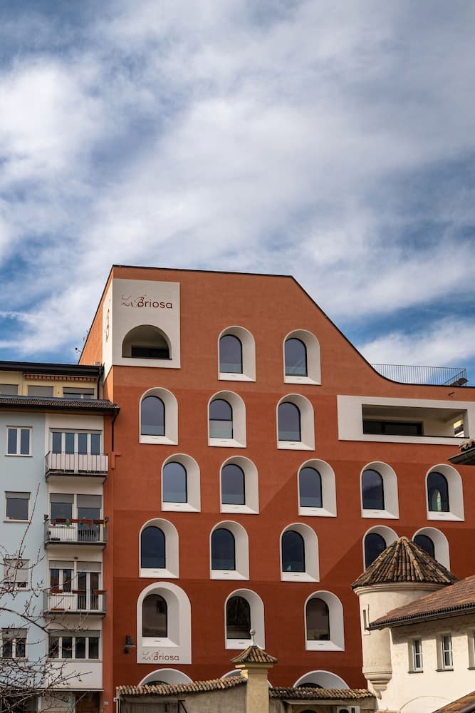 La Briosa
