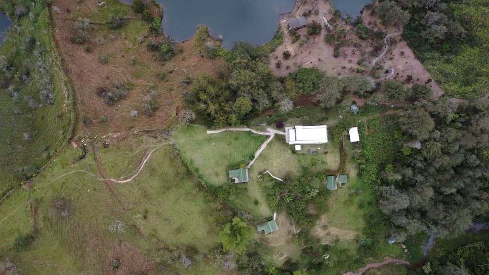 Cardinal Glamping