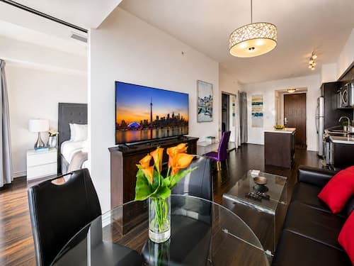 Downtown Toronto Near Sick Kids 2bedroom Sleeps 6 Balcony, 3 Tvs, Pet Friendly