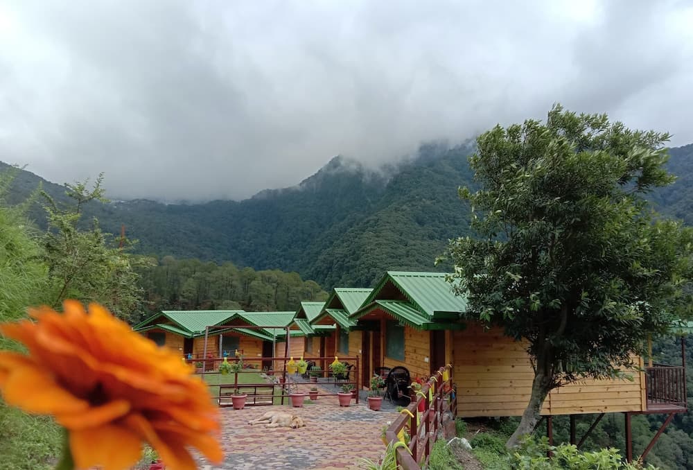 LaSerene The Cottage