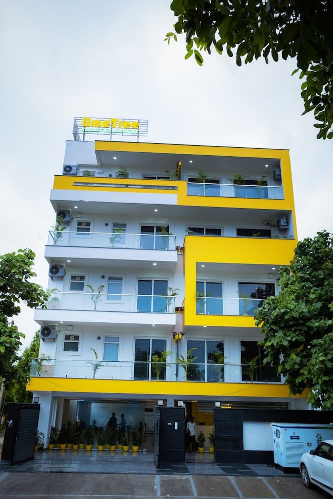 Lime Tree Luxury Studio